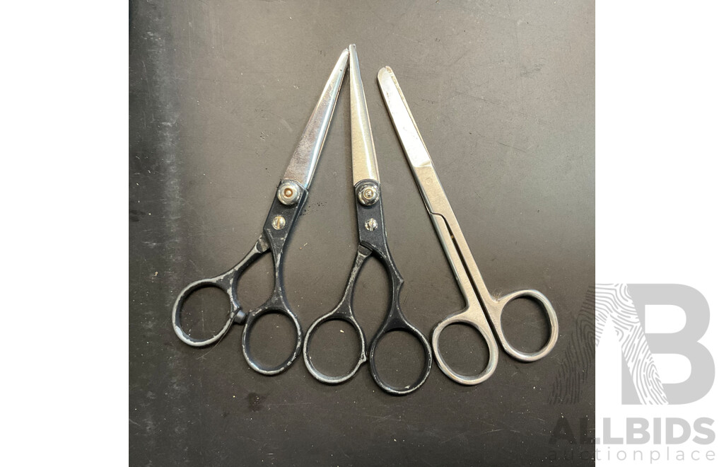 Outdoor Plus 10x50 ZCF Binoculars & Master Lock Cable Lock & Anko Speaker and More Household Items