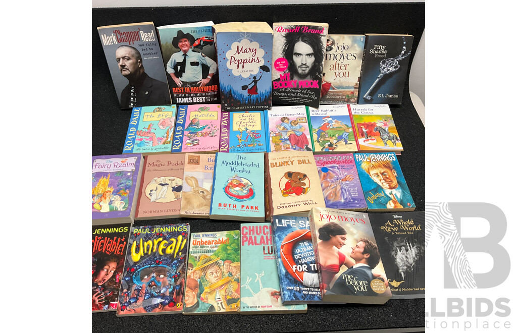 Mixed Lot of Novels and Story Books