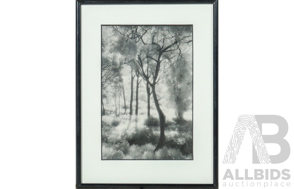 Ruby Spowart (20th Century, Australian, 1928-2024), Mystical Forest (1999), Original Infrared Monochrome Print, 30 X 23 Cm (frame)