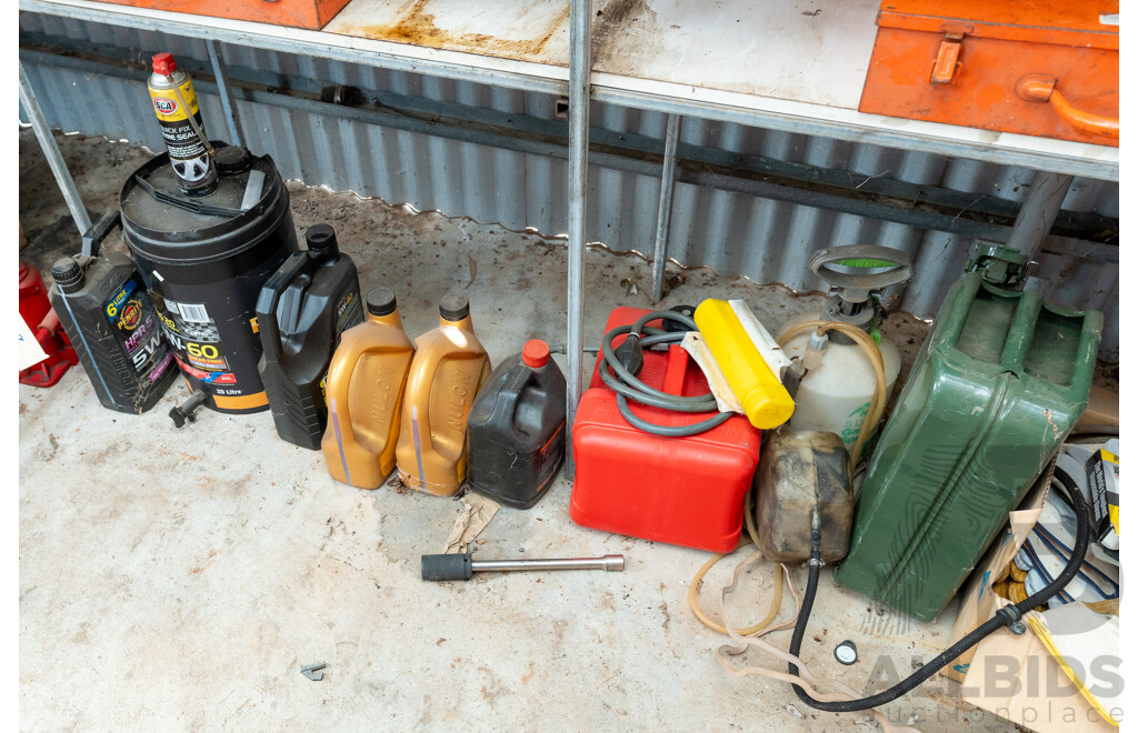 Collection of Various Oils and Lubricants