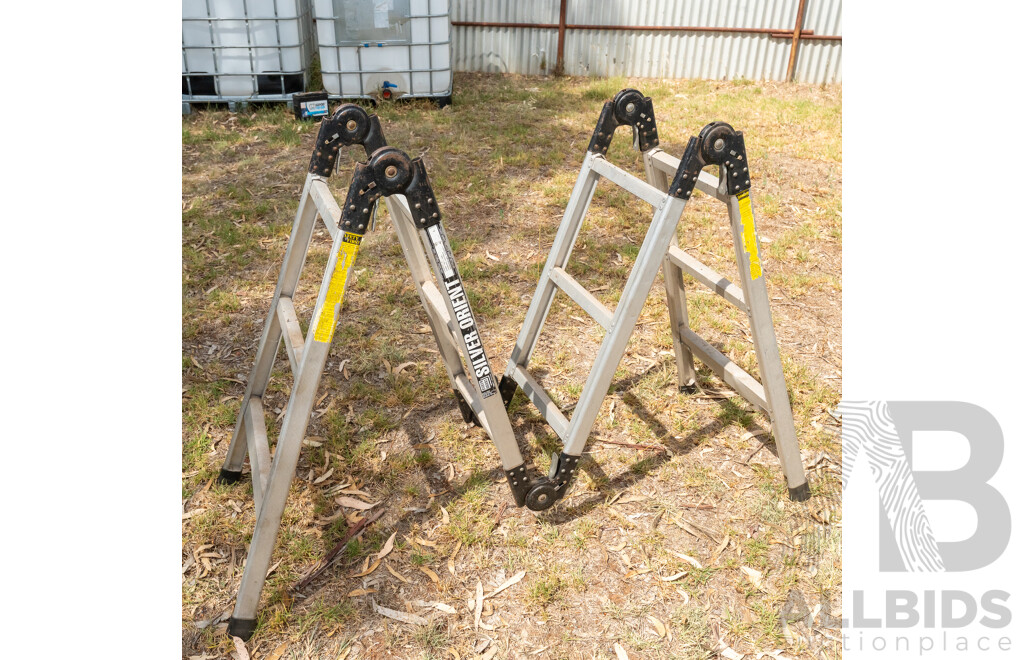Silver Orient Folding Platform Ladder