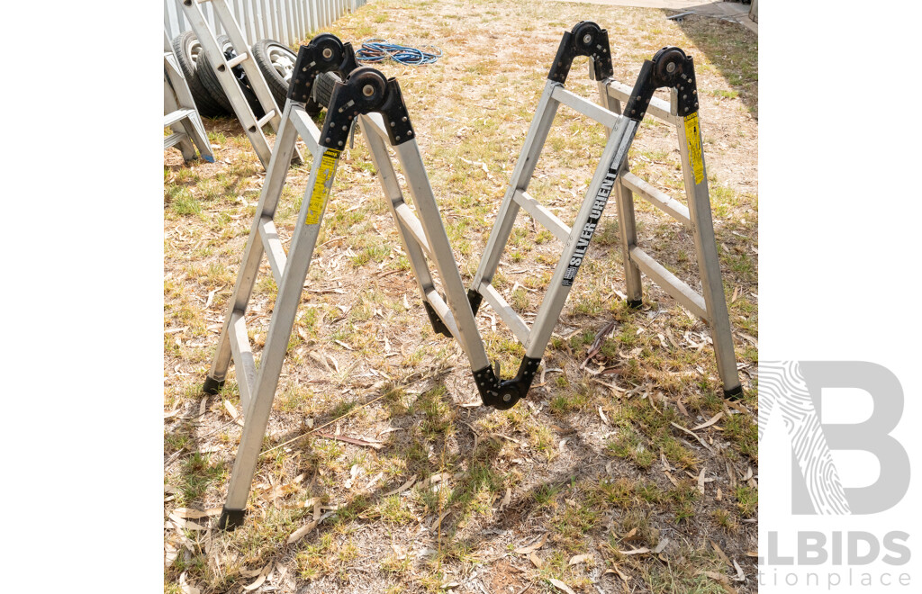 Silver Orient Folding Platform Ladder