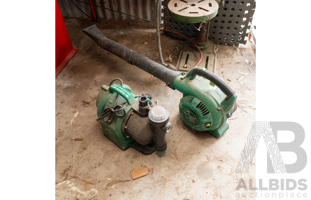 Gardenline 2 Stroke Leaf Blower and 240 Volt Garden Pump