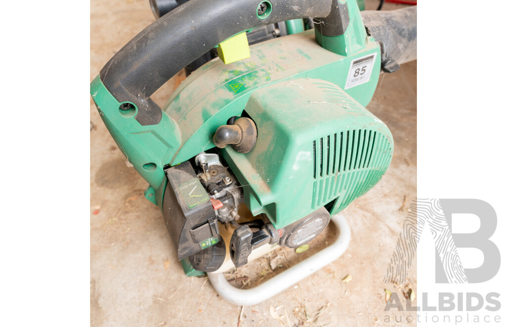 Gardenline 2 Stroke Leaf Blower and 240 Volt Garden Pump