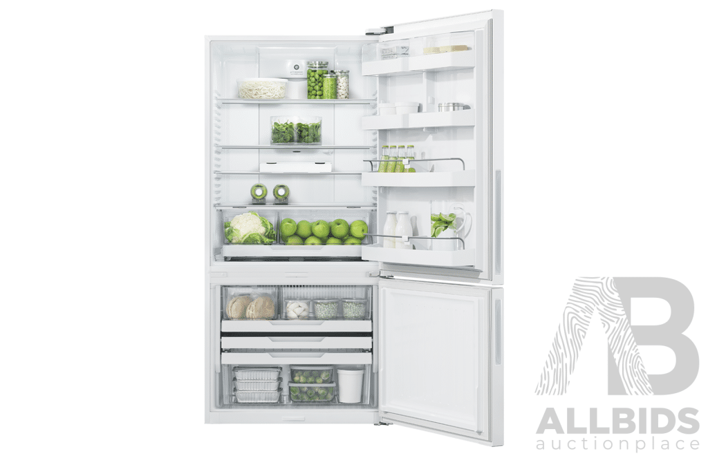Fisher & Paykel 494L Series 5 Refrigerator Freezer (RF522BRPW6) - ORP $2,628