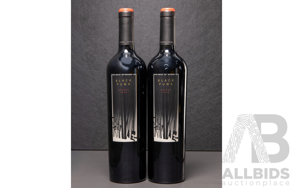 Black Puma Shiraz Vintage 2000 X 2