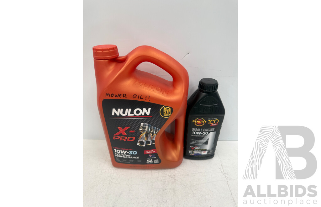 Victa 20 Inch Thunder Self Propelled Mower