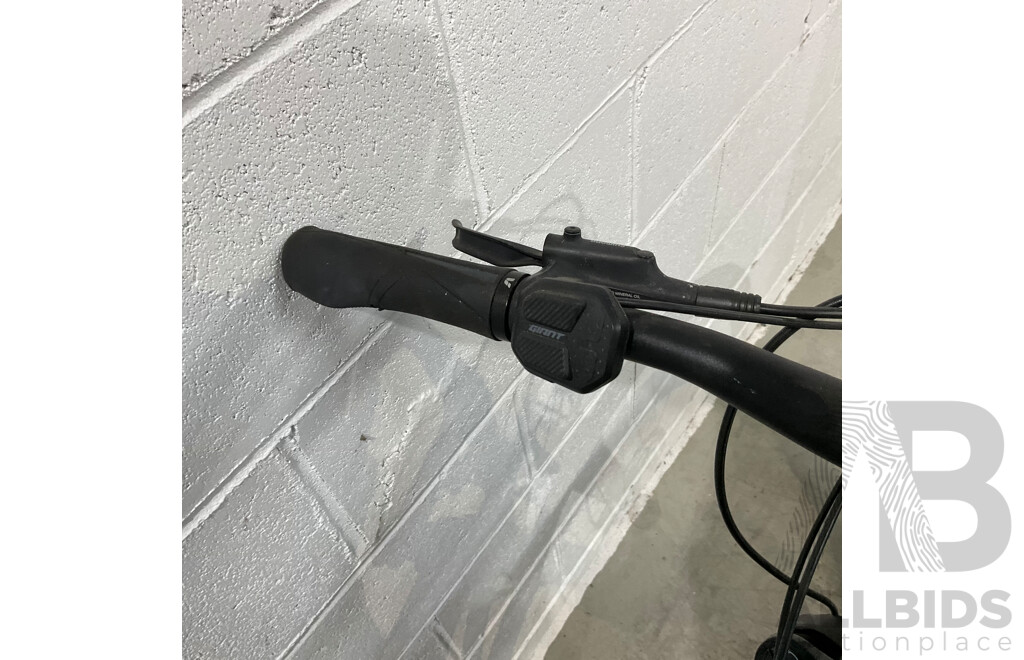 Giant Liv E-bike