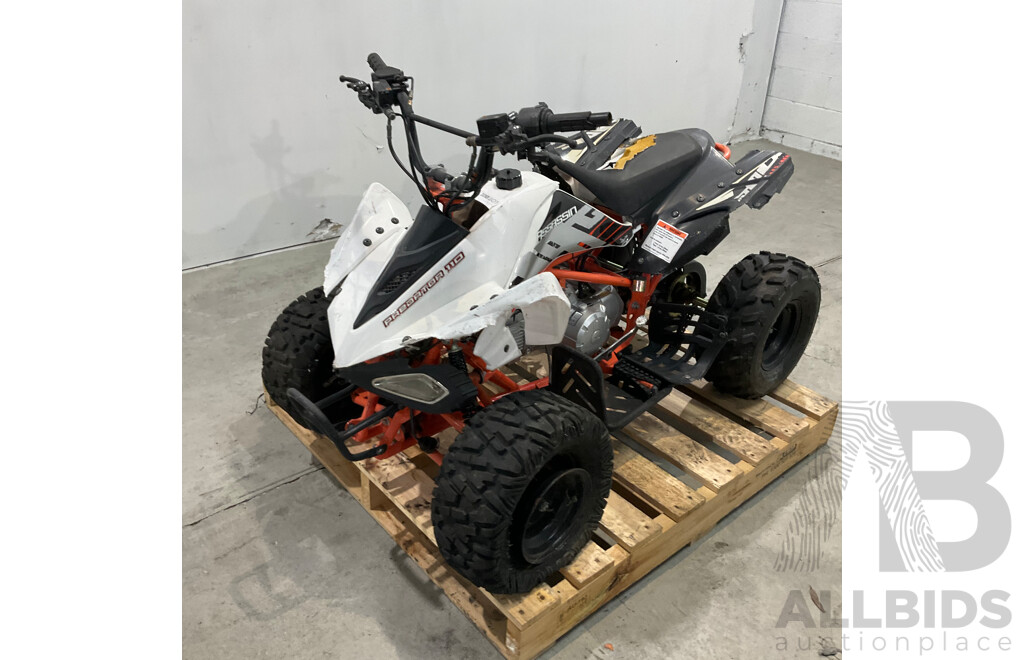 Assassin Predator 110 KIDS Quad Dirt Pit Bike Go-Kart 4-Wheeler Buggy