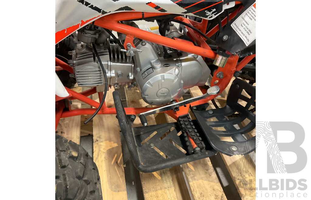 Assassin Predator 110 KIDS Quad Dirt Pit Bike Go-Kart 4-Wheeler Buggy