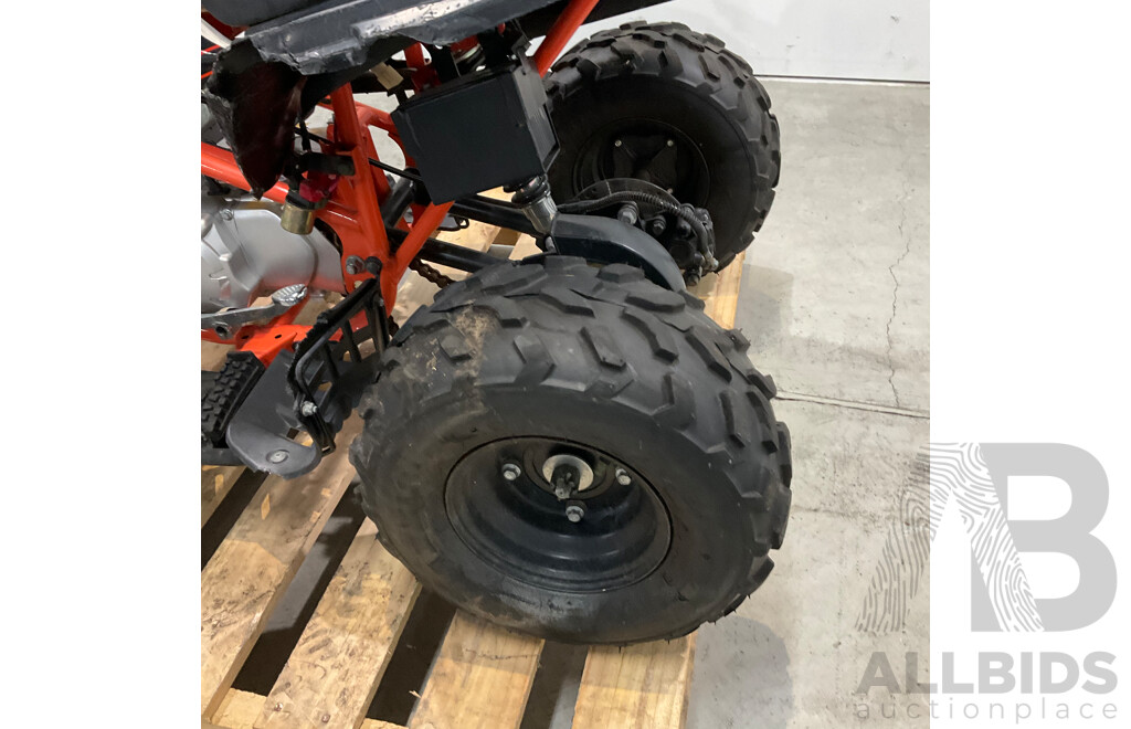 Assassin Predator 110 KIDS Quad Dirt Pit Bike Go-Kart 4-Wheeler Buggy