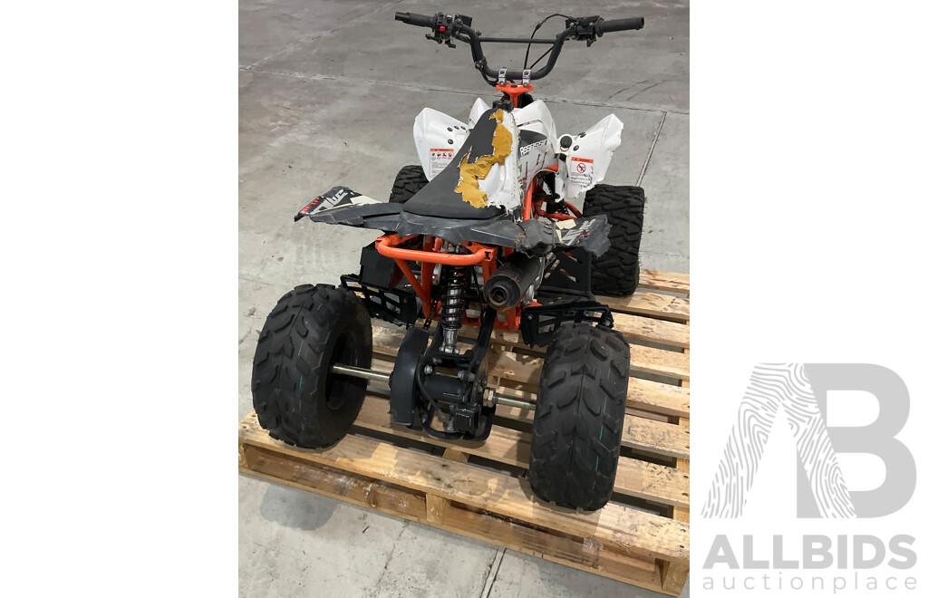 Assassin Predator 110 KIDS Quad Dirt Pit Bike Go-Kart 4-Wheeler Buggy