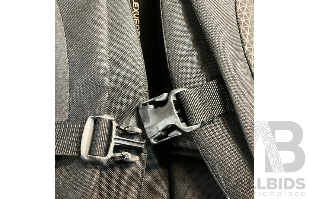 OAKLEY Carry Bag & the North Face Backpack