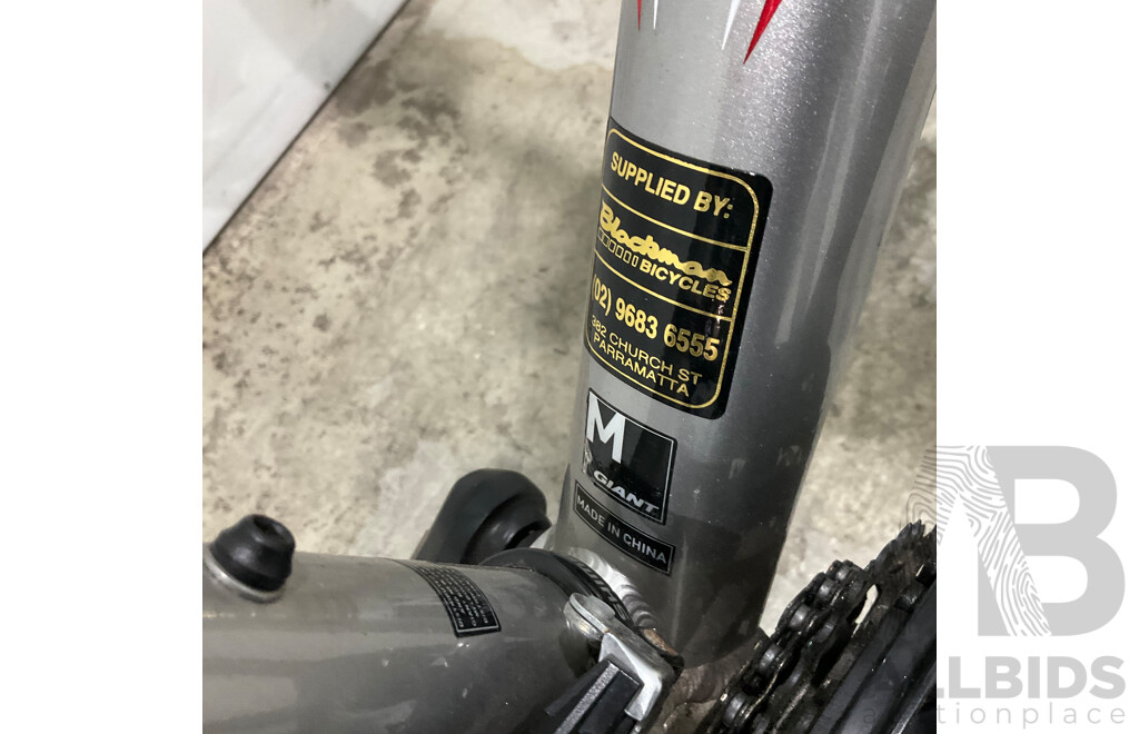 Giant Boulder Bike - Size M - ALUXX 6000 Series Butted Tubing