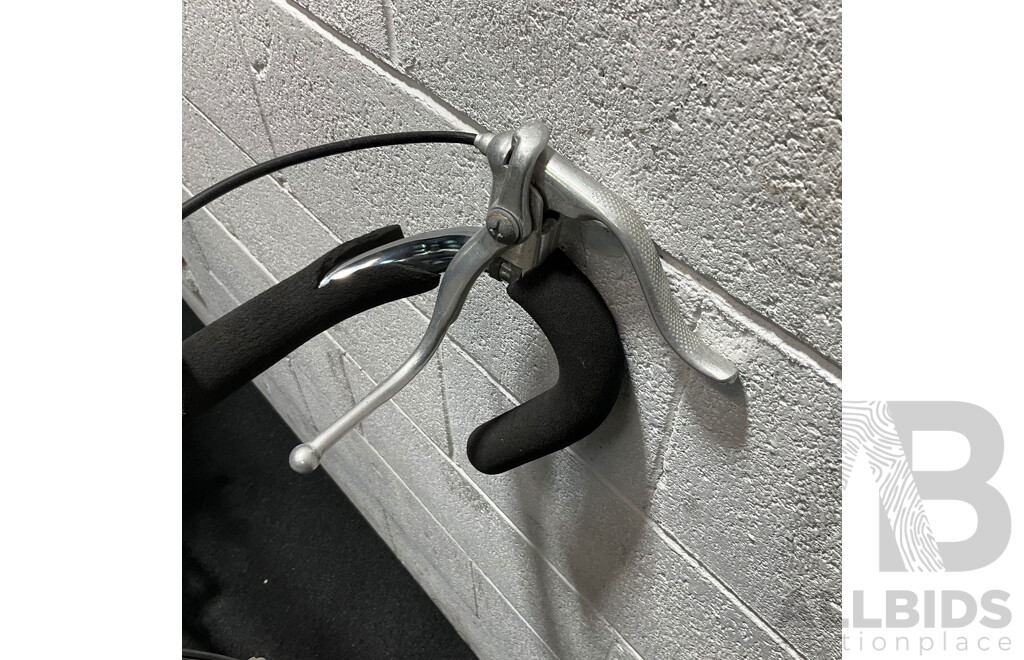 Roadmaster GX-Sports Bike