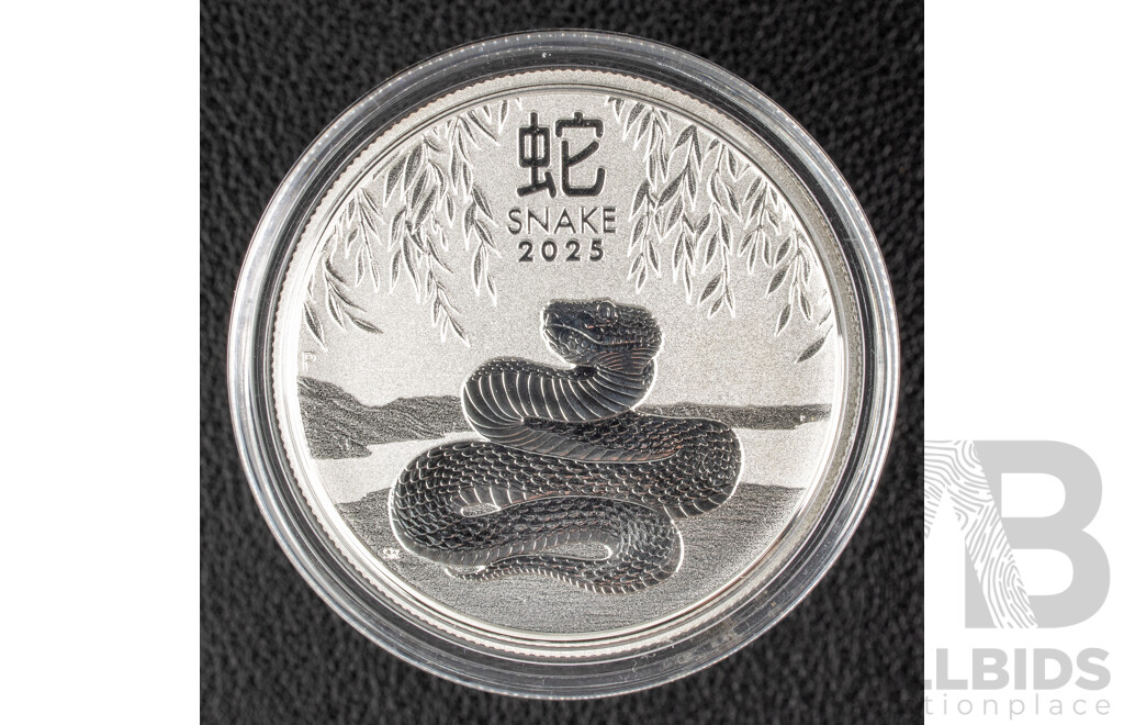 Australian Perth Mint 2024 Silver Fifty Cent Coin, Lunar Series III, Year of the Snake .999