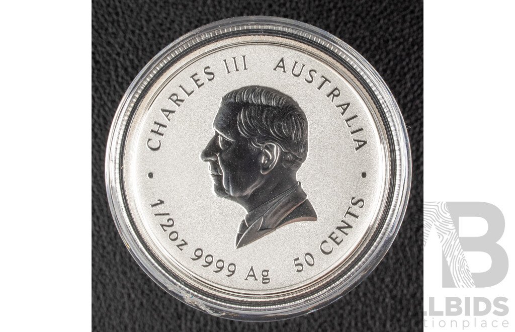 Australian Perth Mint 2024 Silver Fifty Cent Coin, Lunar Series III, Year of the Snake .999