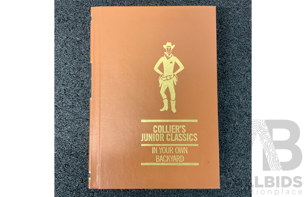 1962 Vintage Collier's Junior Classics Hardcover Set of 8 (3-10)
