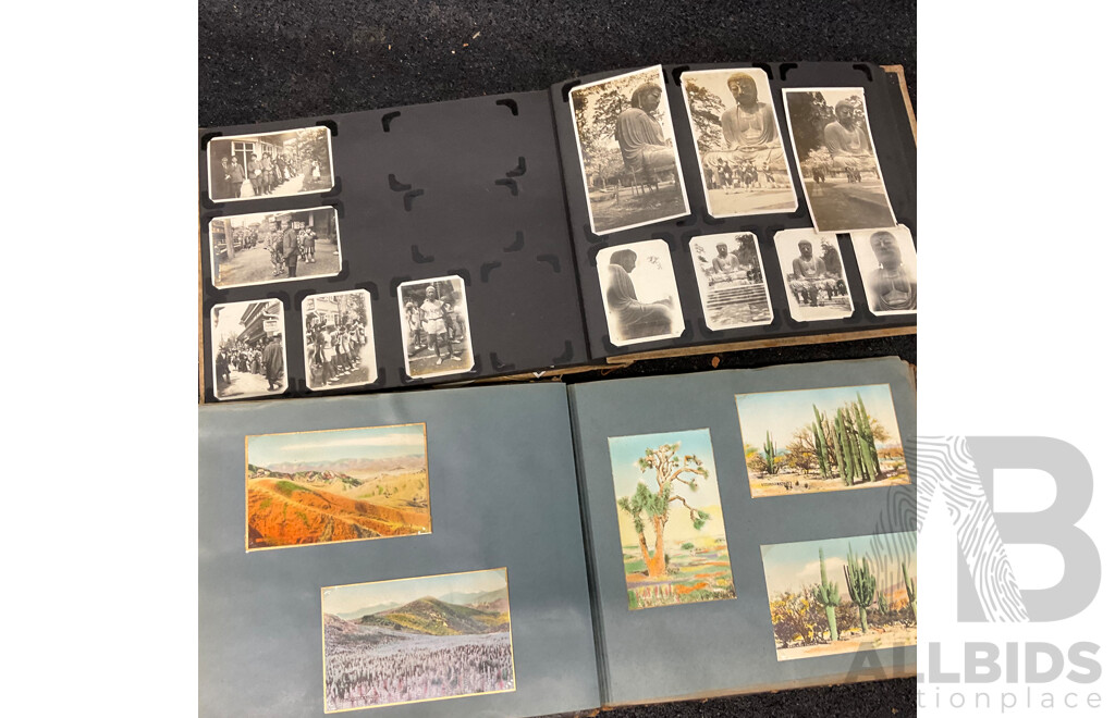Collection of Vintage Photo Albums