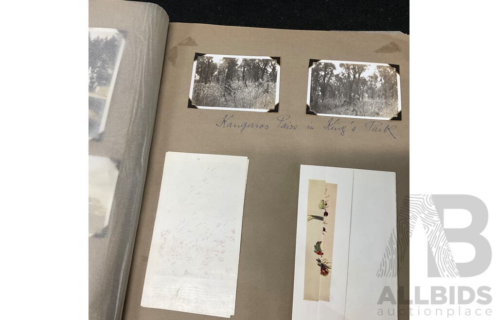 Collection of Vintage Photo Albums