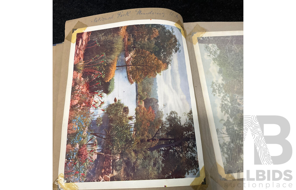 Collection of Vintage Photo Albums