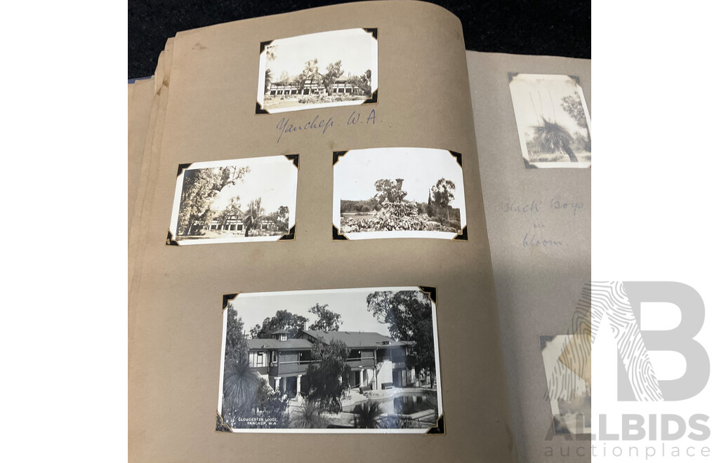Collection of Vintage Photo Albums
