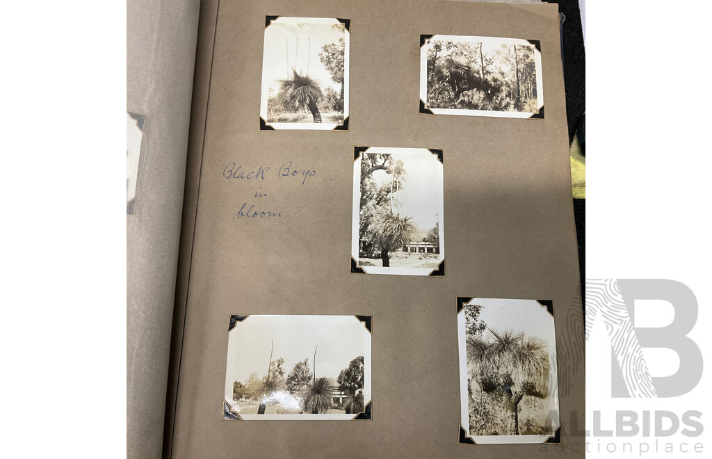 Collection of Vintage Photo Albums