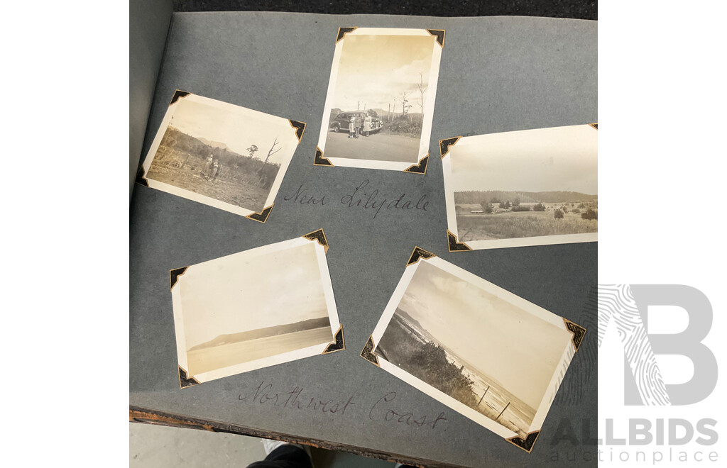 Collection of Vintage Photo Albums