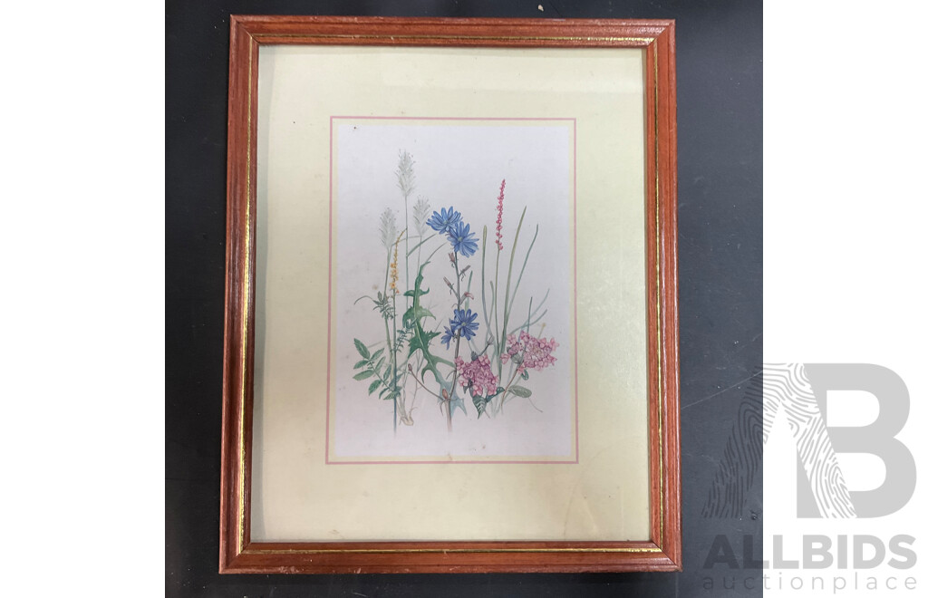 Assorted Framed Vintage Prints and Pictures