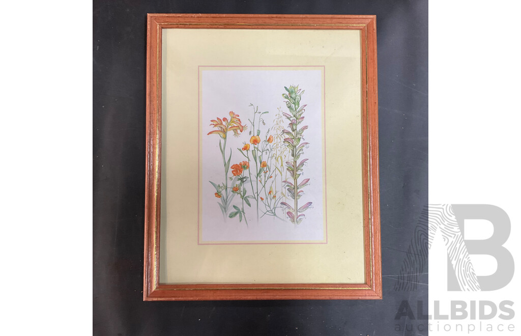 Assorted Framed Vintage Prints and Pictures