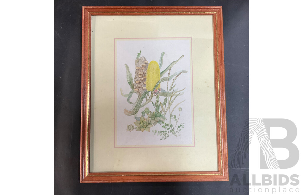 Assorted Framed Vintage Prints and Pictures