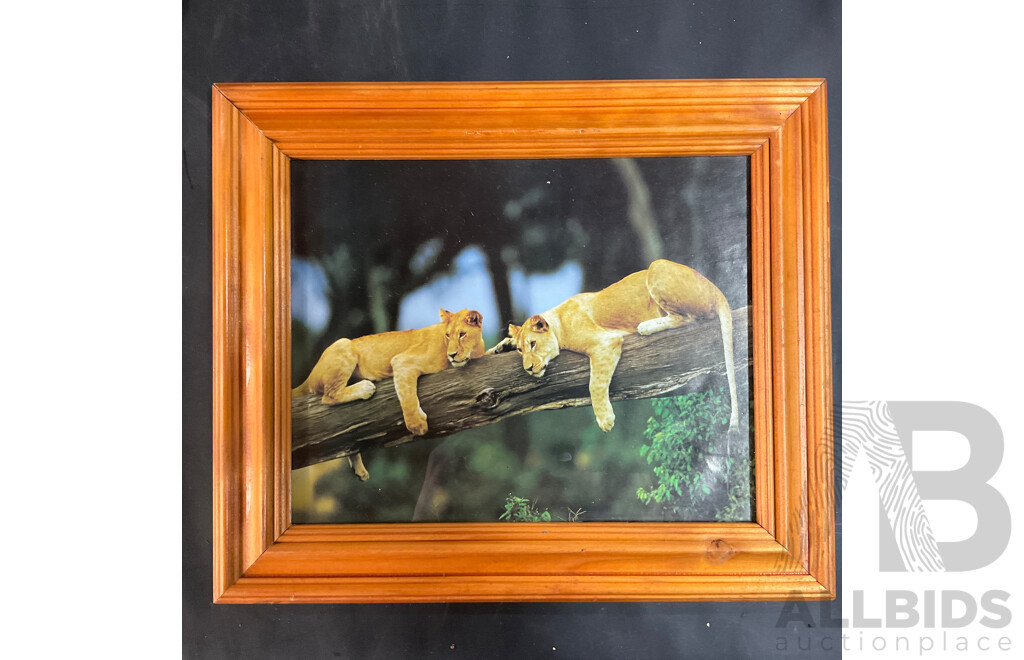 Assorted Framed Vintage Prints and Pictures