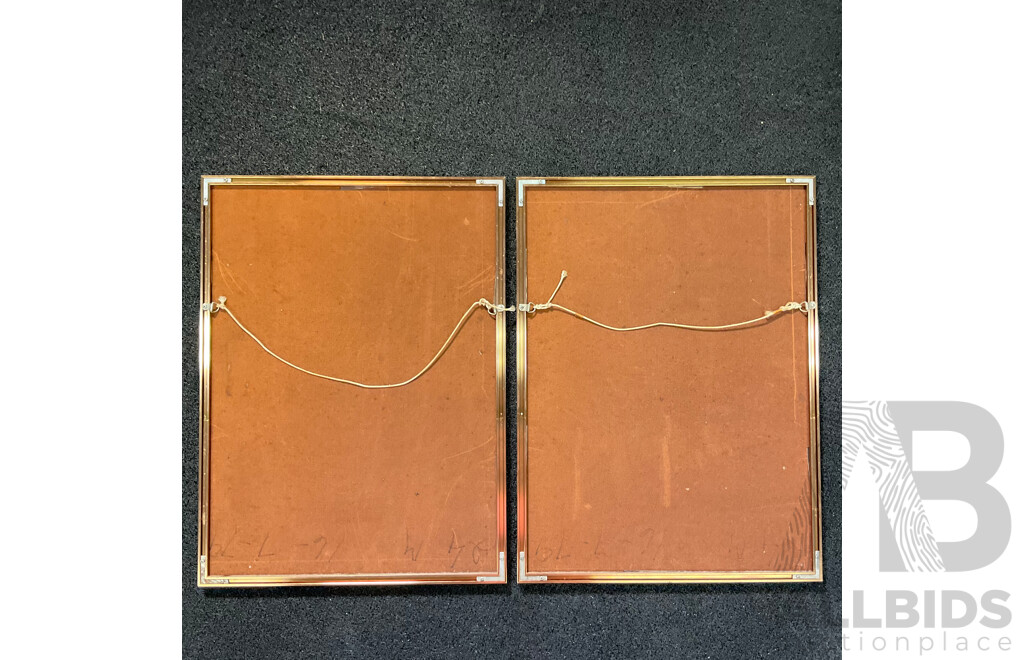 Pair of Chinese Traditional Paintings of Peonies and Birds, Ink and Watercolor on Hand Made Paper, 56 X 42 Cm (frame)