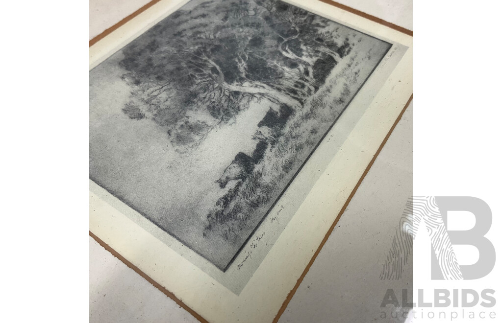 Assorted Vintage Prints, Including Lionel Lindsay ''The Cat'', Sir William Jardine's ''The Naturalist's Library - Bittern'', Herbert RReginald Gallop ''Swamp Ti Trees'' and  Artworks by Brian Dunlop ''His Hands''  - Lot of 6