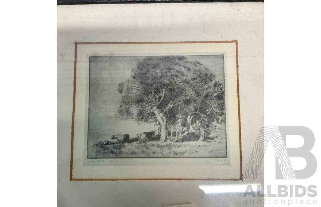 Assorted Vintage Prints, Including Lionel Lindsay ''The Cat'', Sir William Jardine's ''The Naturalist's Library - Bittern'', Herbert RReginald Gallop ''Swamp Ti Trees'' and  Artworks by Brian Dunlop ''His Hands''  - Lot of 6