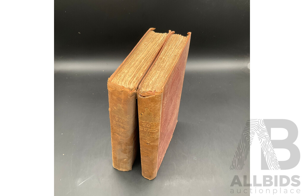 TOM BOURKE of ''OURS'' by Charles Lever 1st 1844 in Two Volumes