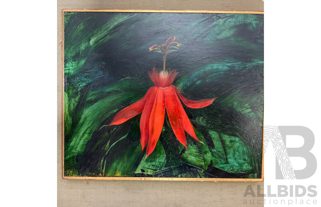 Paul Jones (1921-1997 ) ''New Guinea Flower'' Oil on Board, 50 X 45 Cm (frame)