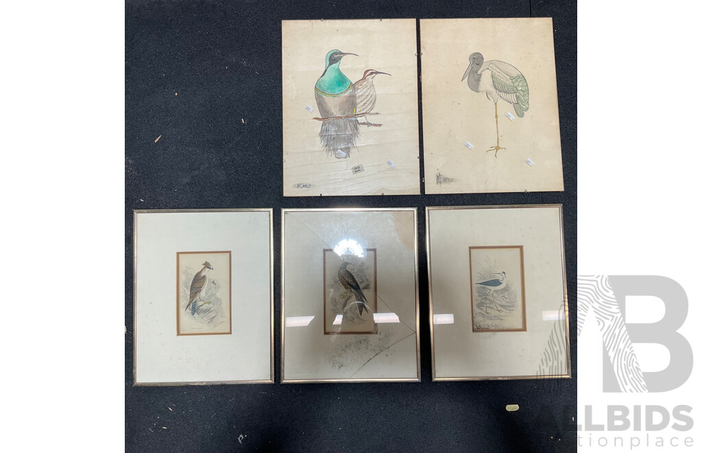 Collection of Painting and Prints of Bird, Including Colour Lithograph Print From Gracius Joseph Broinowski's ''Birds of Australia'', Sir William Jardine's ''The Naturalist's Library'' and Watercolour Paintings by M. Carle - Lot of 6