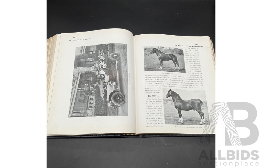 The Pastoral Homes of Austrlia 1910