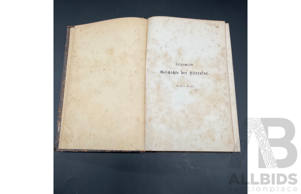 Antique German Books - Deutsche Literaturgeschichte by Robert Koenig and Allgemeine Geschichte Der Literatur by Dr. Johannes Scherr - Lot of 2