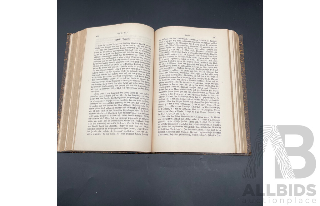 Antique German Books - Deutsche Literaturgeschichte by Robert Koenig and Allgemeine Geschichte Der Literatur by Dr. Johannes Scherr - Lot of 2
