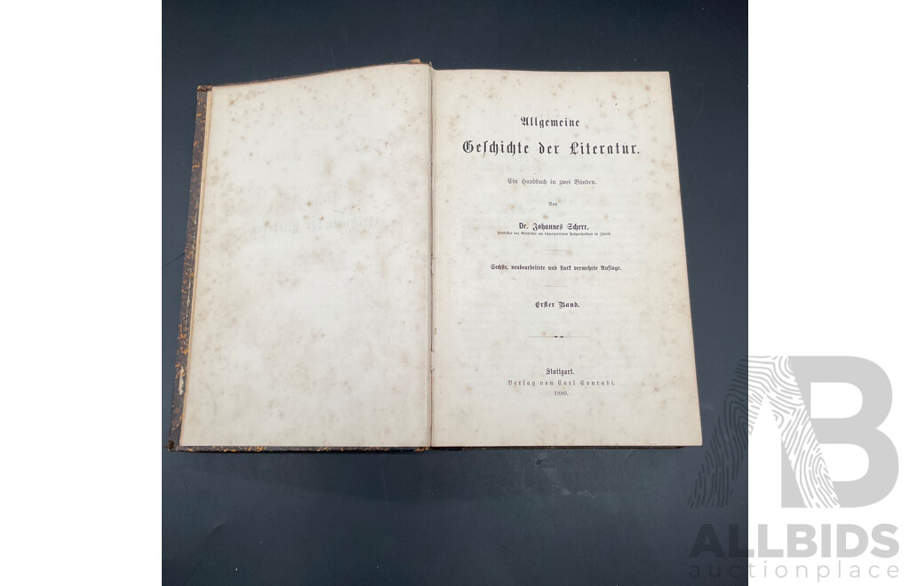 Antique German Books - Deutsche Literaturgeschichte by Robert Koenig and Allgemeine Geschichte Der Literatur by Dr. Johannes Scherr - Lot of 2