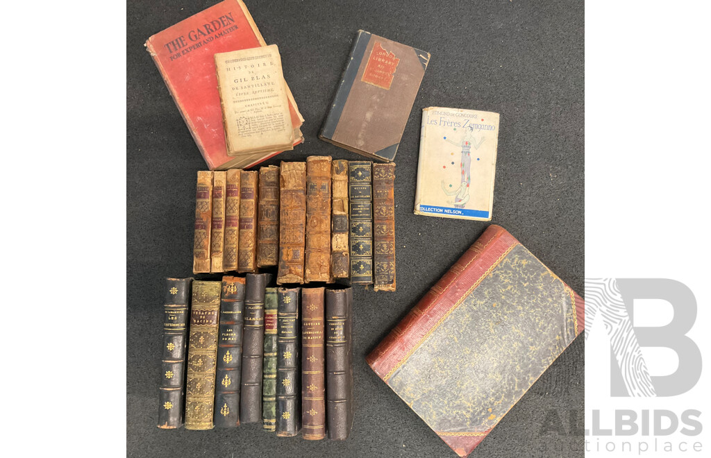 Collection of Antique and Vintage European Books - Lot of 23