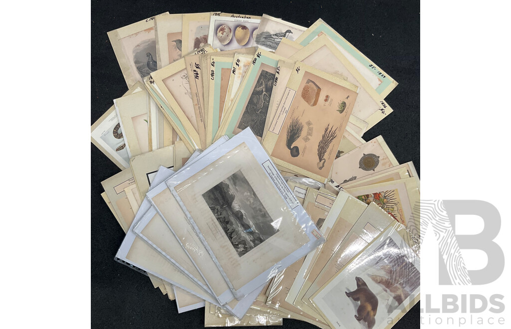 Collection of Assorted Vintage Paper Ephemera