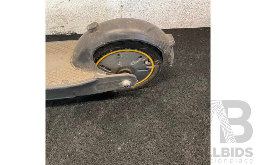 Ninebot Kickscooter Max G30