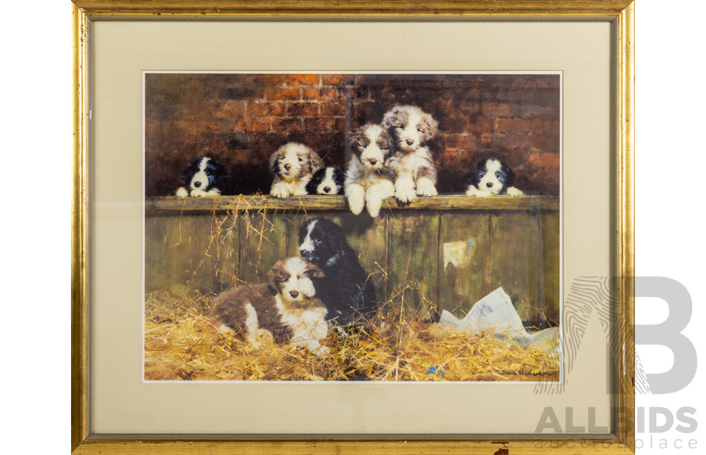 David Sheperd, (20th Century, British, 1931-2017), Puppies, Lovely Quality Reproduction Colour Print After Original, 65 x 80 cm (frame)