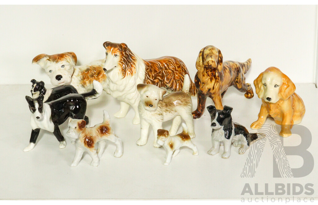 Collection of Porcelain Dogs