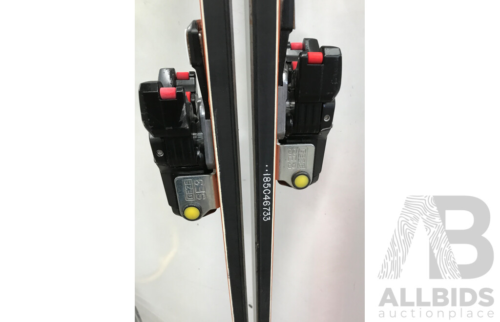 Olin Mark IV Skis with Bag