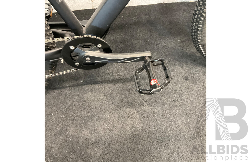 Estate EST-MTB29M Mountain Bike