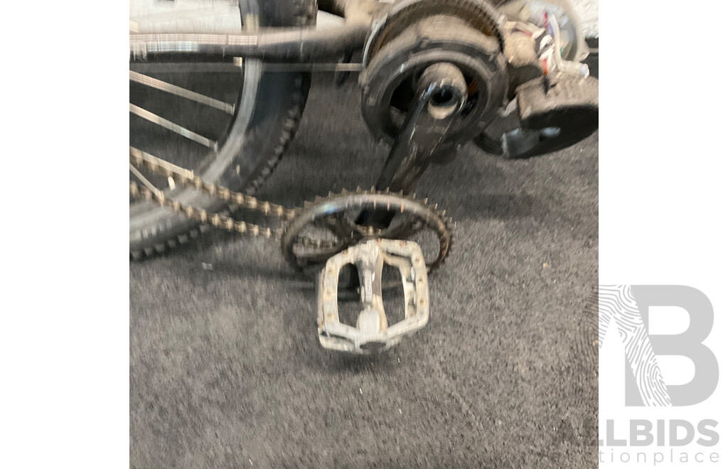 AVANTI Aggressor Bike